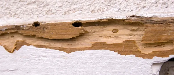 img of Patologias em Obras e Como Prevenir